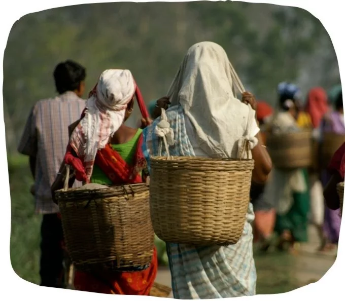 Arbeiter in Indien