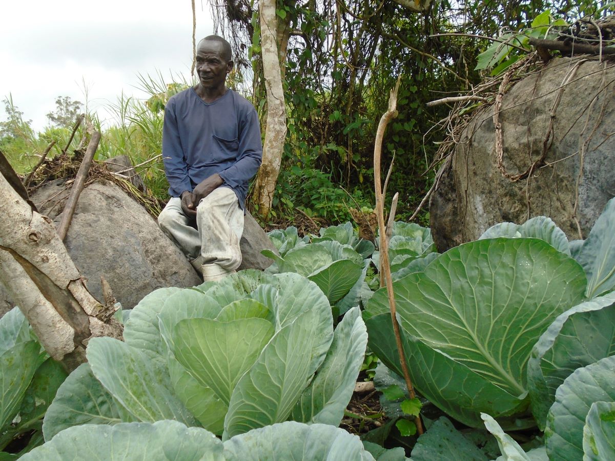 Stolze Bauern - unser Ernährungsprojekt im Kongo