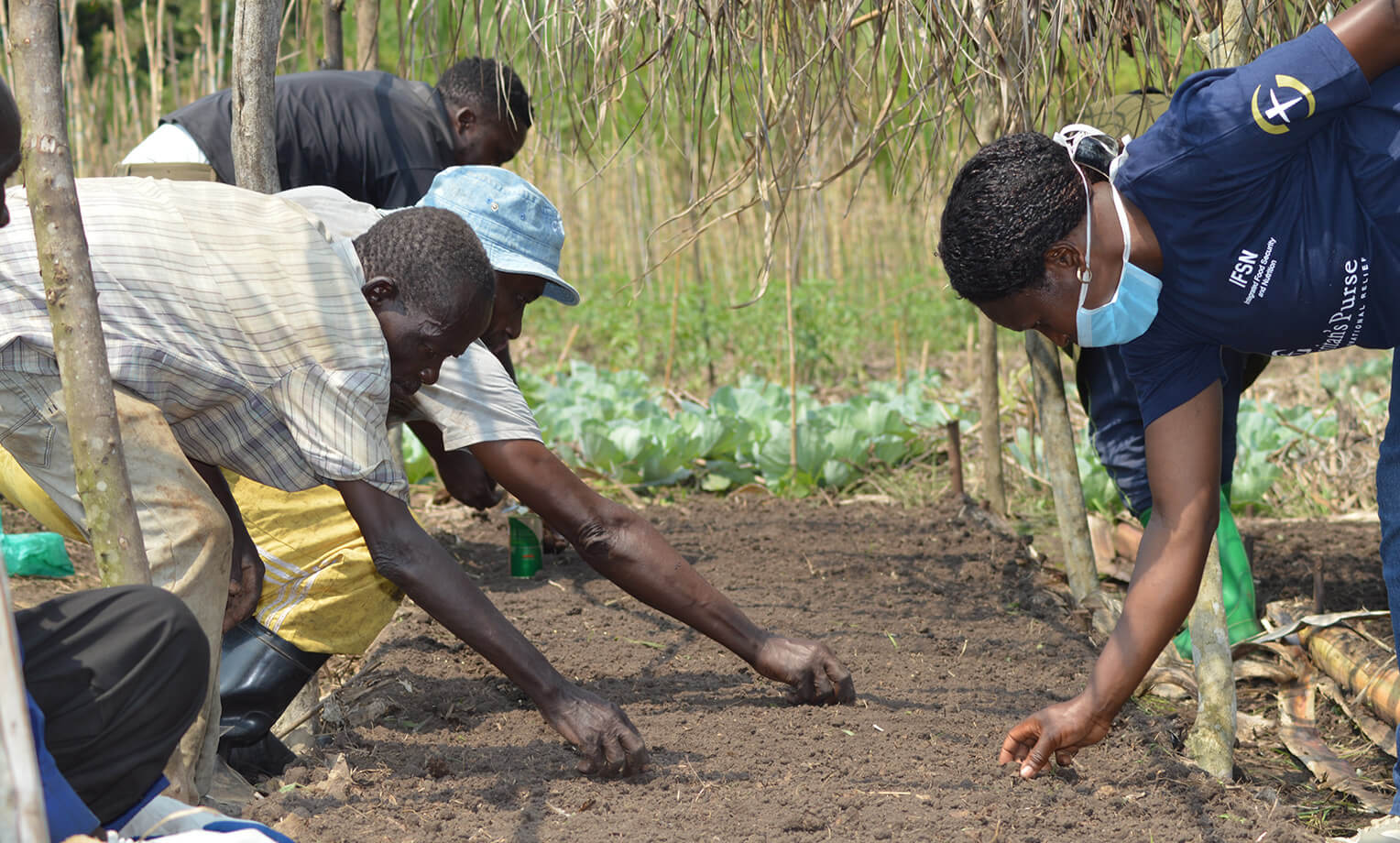 Stolze Bauern - unser Ernährungsprojekt im Kongo